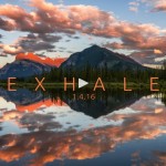 4K timelapse video Exhale